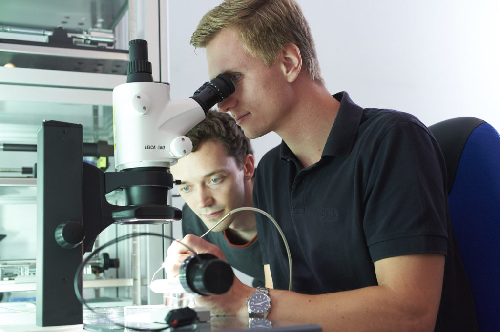 Mikro- und Nanostrukturforschung