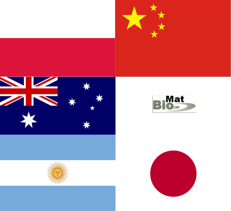 New year, new international projects in the Institute of Biomaterials