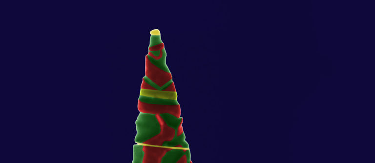 Wissenschaftliche Weihnachtsstimmung am Department WW