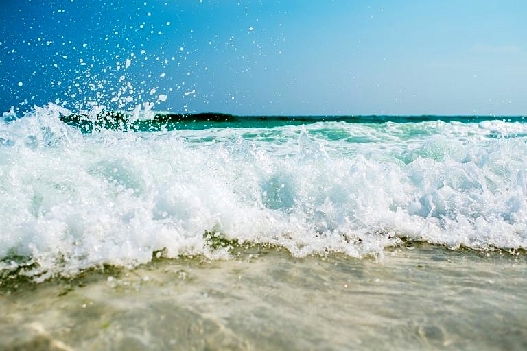 Wir wünschen einen schönen Sommer!