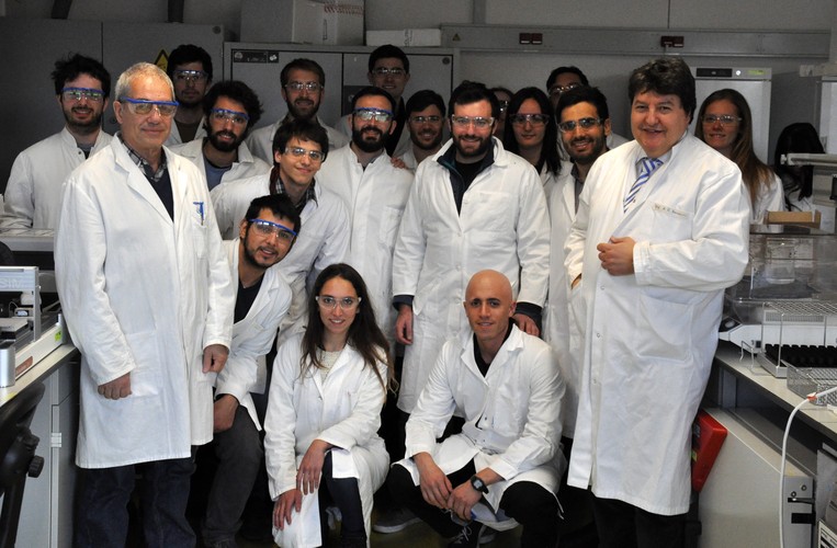 Zum Artikel "Students from the University of Buenos Aires visit the Institute of Biomaterials"