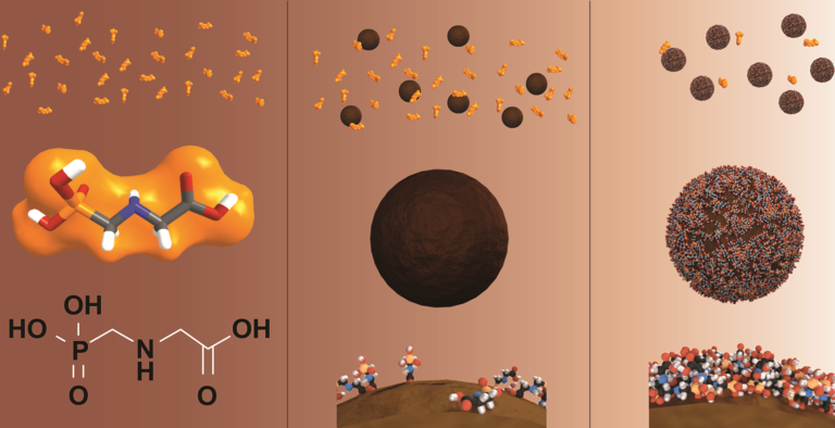 Glyphosat im Wasser und eine einfache Methode zur effizienten Entfernung
