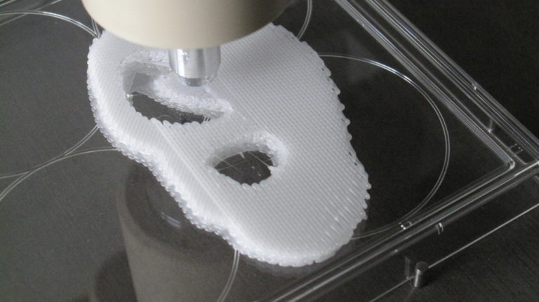 Prof. Aldo R. Boccaccini und Dr. Rainer Detsch im neu gegründeten Richtlinienausschuss für Bioprinting