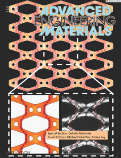 Zum Artikel "“Deformation Behavior of 2D Composite Cellular Lattices of Ceramic Building Blocks and Epoxy Resin”"